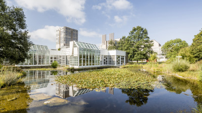 sternhöhe Wasserflächen