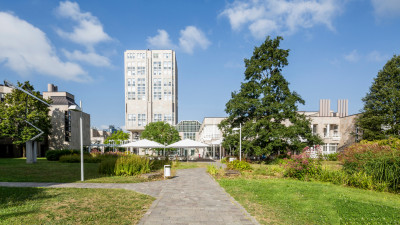 sternhöhe Außenaufnahme der Wege